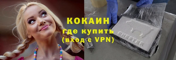 дживик Алексин